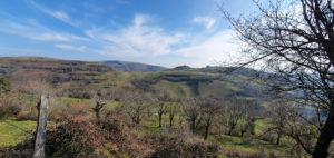 AUBRAC - Maison avec terrain