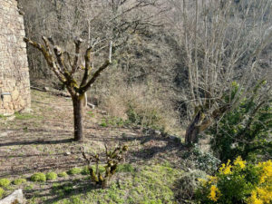 Corps de ferme à 20 minutes d'ENTRAYGUES SUR TRUYERE