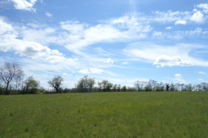 Terrain 1195m2 secteur extrêmement prisé - RODEZ