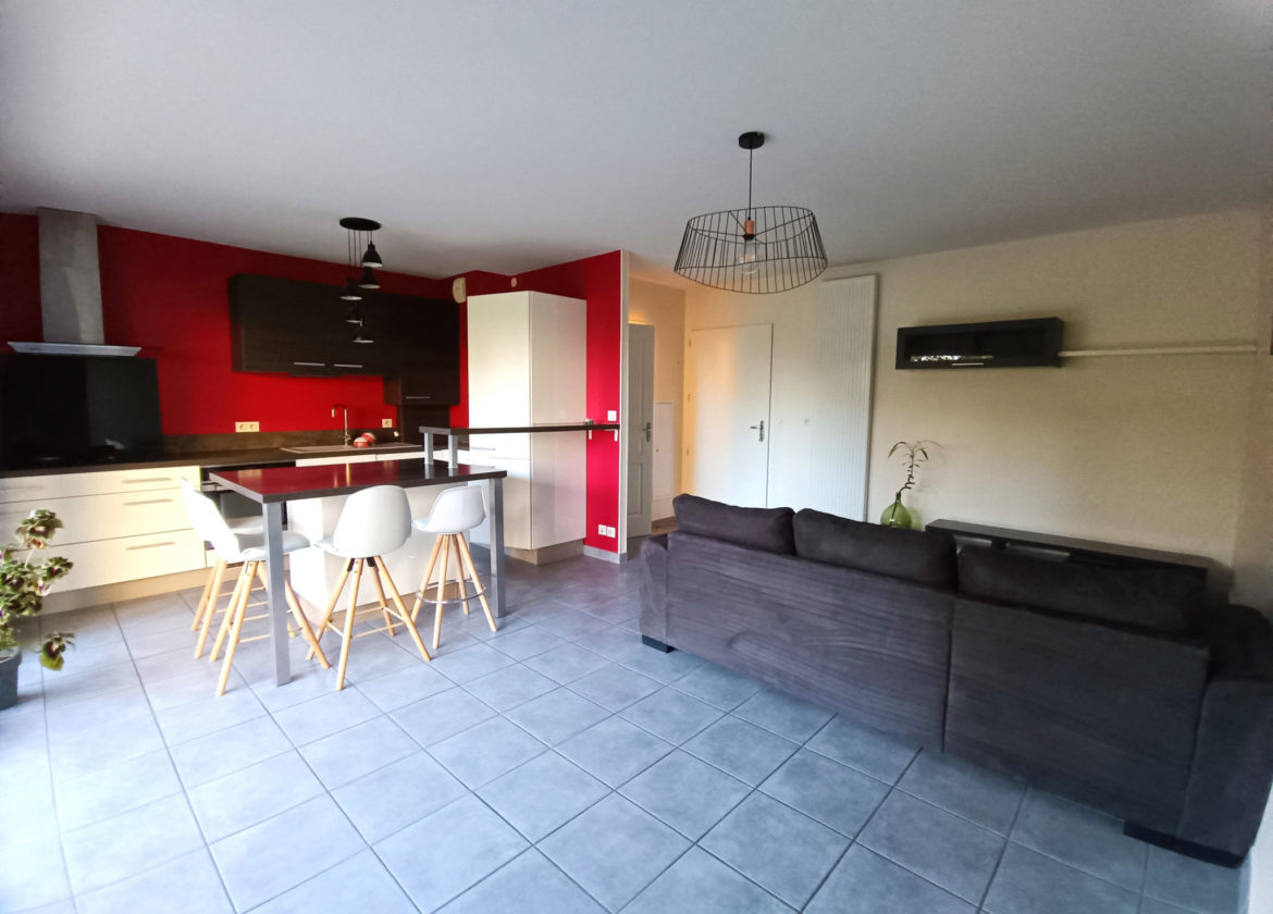 Appartement T2 meuble avec jardin et garage