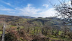 AUBRAC - Maison avec terrain