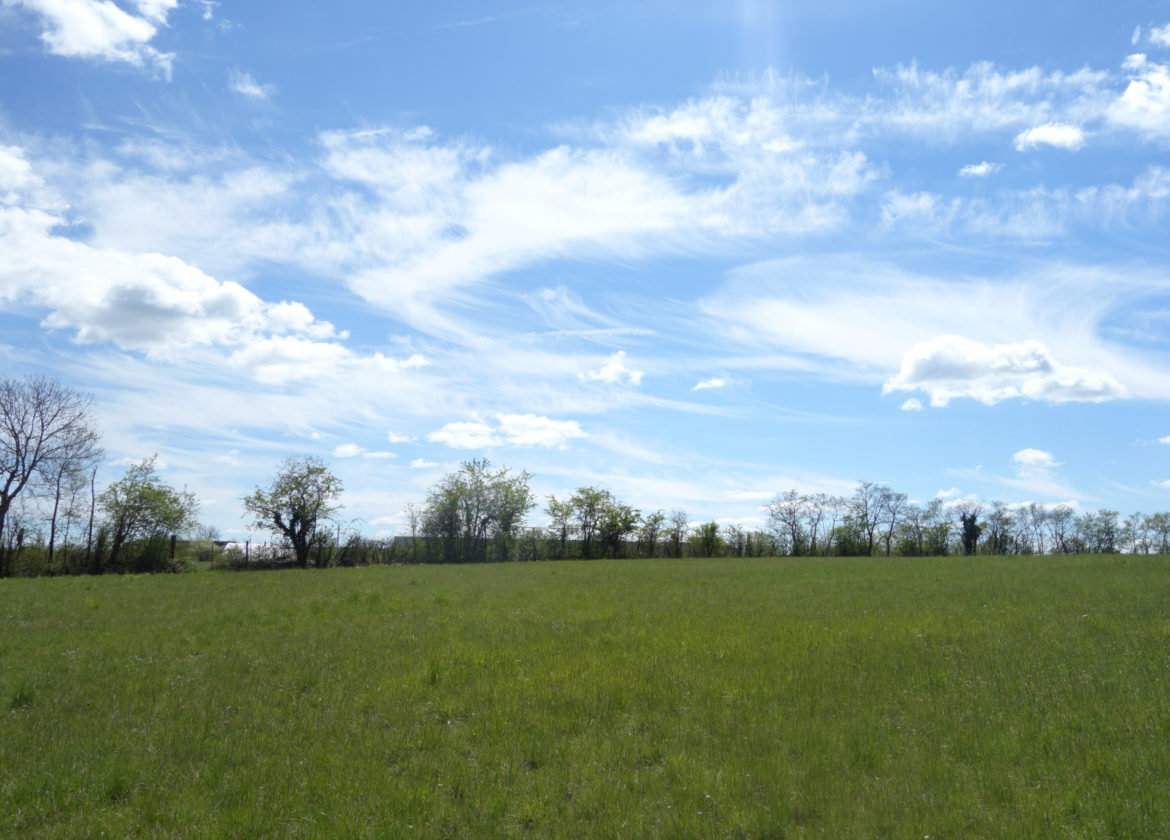 Terrain 1195m2 secteur extrêmement prisé - RODEZ