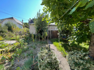  Appartement à ENTRAYGUES SUR TRUYERE